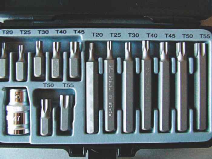 Набор бит Т20-Т55, 15 предметов  СЕРВИС КЛЮЧ