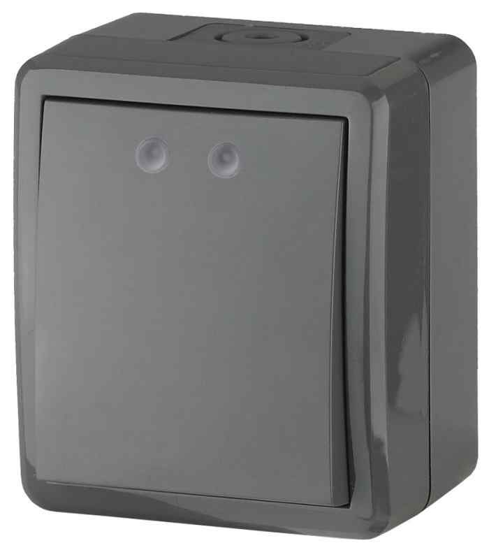 Выключатель IP54, 10АХ-250В, ОУ, Эра Эксперт, серый 11-1401-03 ЭРА