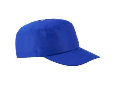 Каскетка-бейсболка василек